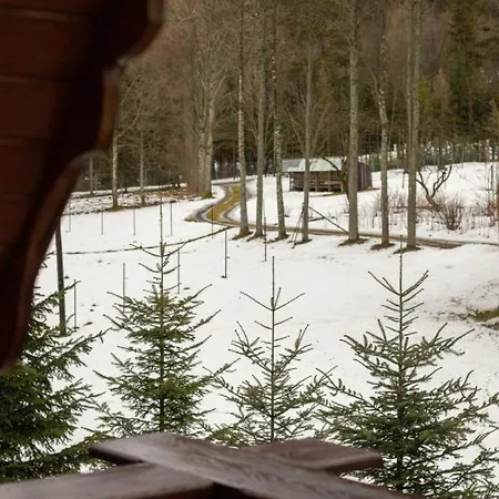 Golden Zakopane&bogowka Appartement *